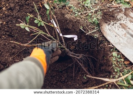 Similar – Image, Stock Photo Two hands put leaves into a fast foaming flowing river.