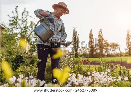 Similar – Foto Bild Wunderschöner Blumengarten mit kleinem Holztor und Haus im Hintergrund