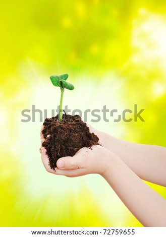 Two hands with a plant and dirt