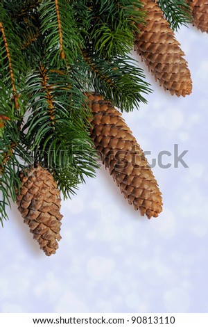 christmas frame with fir tree branch