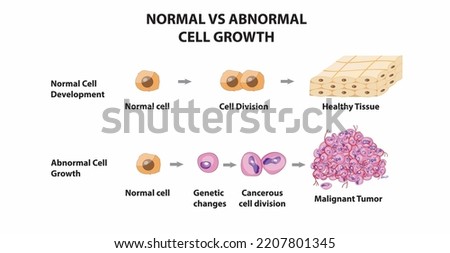 Similar – Image, Stock Photo cell division