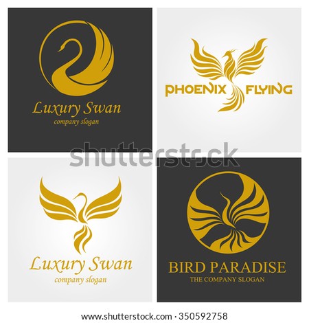 Bird Logo Stock Vector Illustration 350592758 : Shutterstock