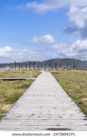 Similar – Foto Bild Holzweg zum Meer auf Sylt an einem Regentag