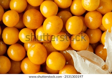 Similar – Foto Bild Die Frucht Physalis mit Kelchblättern