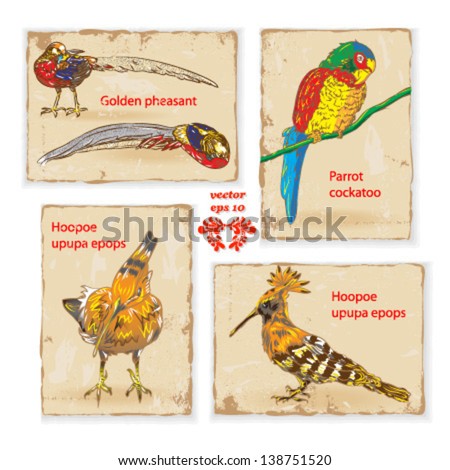 set vintage backgrounds, retro postcard animals birds vector