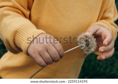 Image, Stock Photo Child hand with dandelion