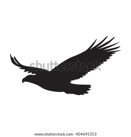 Buzzard clip art Free Vector / 4Vector