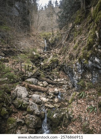 Similar – Image, Stock Photo Waterfall flowing through autumn forest in daylight