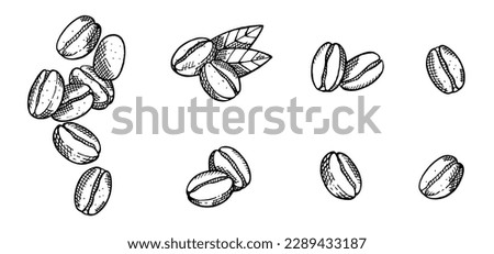 Big set with hand drawn coffee beans isolated on white background. Vegetarian, organic food. Vector Illustration. 