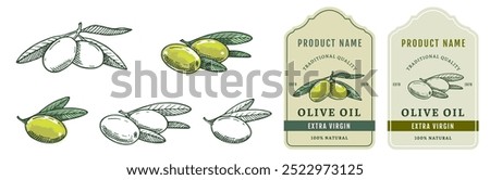 Big set 1 of hand drawn olives with leaves and two labels isolated on white background. Healthy vegetarian organic food. Vector Illustration. 