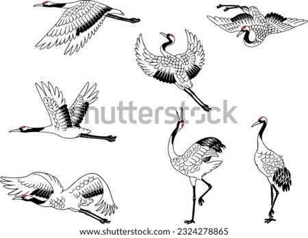 Set of Line Art Illustrations of Japanese Crane (Tancho)