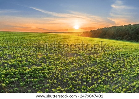 Image, Stock Photo Farm Fields with Forest Border