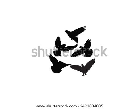 Black birds vector.... 5 black birds silhouette...