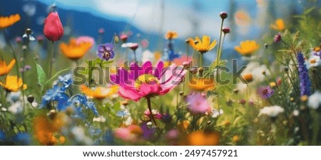 Similar – Image, Stock Photo Colourful flower meadow in the basic colour green
with various wild flowers.