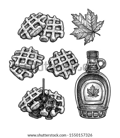 Set of ink sketches. Waffles with maple syrup. Hand drawn vector illustration isolated on white background. Retro style.