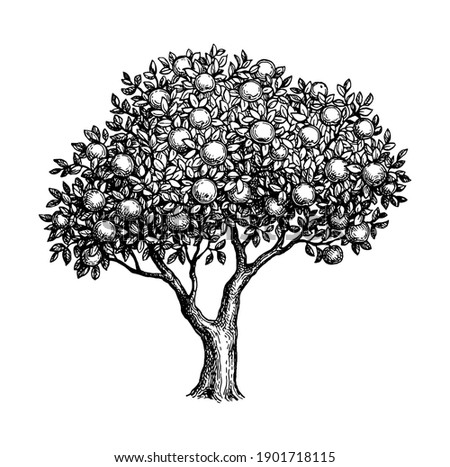 Apple Tree Branch Clipart | Free download on ClipArtMag