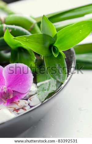 Spa concept: bamboo leaves, purple orchid and seashells in a bowl of water, with water drops, close-up shot