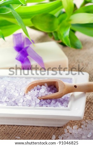 Spa and pampering: bath salt with soap and lucky bamboo, closeup shot, focus on salt and spoon
