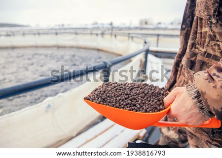 Fish farm worker holds scoop of pelleted feed for feeding rainbow trout and salmon.