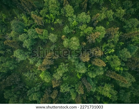 Similar – Image, Stock Photo Aerial View Of Deciduous Trees Without Foliage Leaves In Landscape At Early Spring. Top Flat View From High Attitude. Natural Backdrop Background Of European Woods And Their Shadows. Drone View