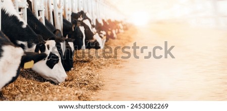 Similar – Image, Stock Photo Modern cow barn with metal fence and roof in countryside