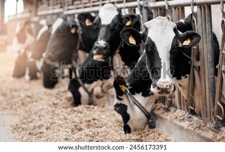 Similar – Image, Stock Photo Modern cow barn with metal fence and roof in countryside