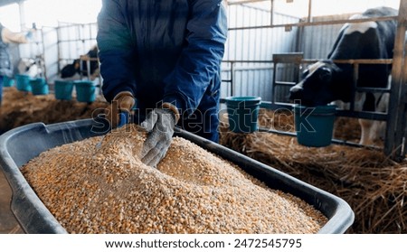 Image, Stock Photo herd of cows Food Meat