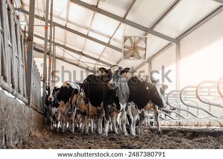 Image, Stock Photo Modern cow barn with metal fence and roof in countryside