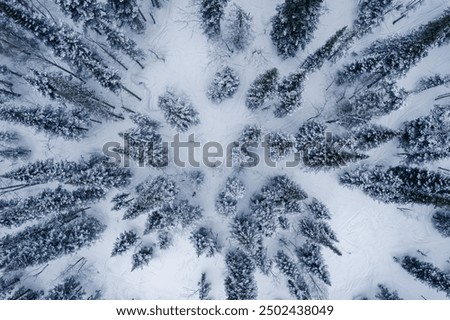 Foto Bild Winterliche, ländliche Draufsicht. Gepflügte Felder mit Winterfrüchten