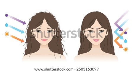 Comparison of damaged and healthy hair vector illustration isolated on white background. The woman with dry, frizzy hair caused by external factors and strong, supple, shiny hair. Hair care concept.