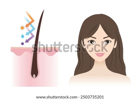 Infographic of closed cuticle healthy hair vector illustration isolated on white background. The woman with strong, supple, shiny hair protect from ultraviolet, moisture and toxic product.