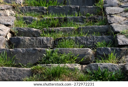stone steps in old castle
