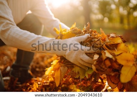 Similar – Image, Stock Photo Leaf rake in autumn on the meadow