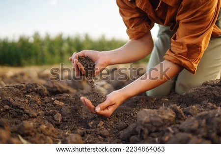 Female Hand of expert farmer collect soil and checking soil health before growth a seed of vegetable or plant seedling. Agriculture, gardening or ecology concept. Сток-фото © 