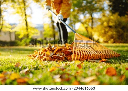 Similar – Image, Stock Photo Leaf rake in autumn on the meadow