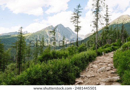 Similar – Image, Stock Photo Hiking trail through a beech forest