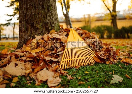 Similar – Image, Stock Photo Leaf rake in autumn on the meadow