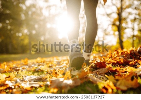 Similar – Image, Stock Photo Forest walk in autumn