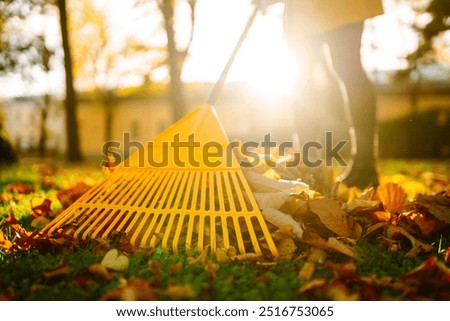 Similar – Image, Stock Photo Leaf rake in autumn on the meadow