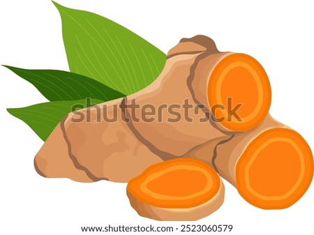 Turmeric Rood Rhizome Herb with Leaves Illustration	Isolated on White Background