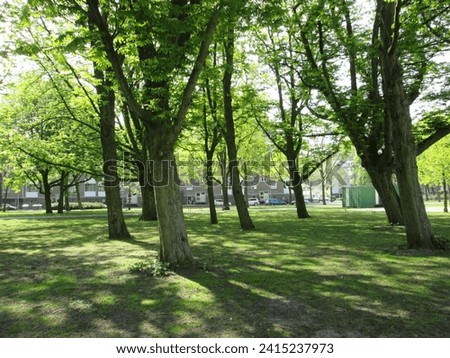 Similar – Image, Stock Photo Nature park, Netherlands