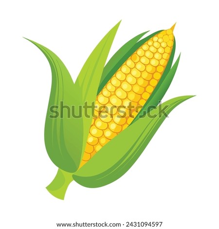 Isolated Fresh Corn Vector Illustration