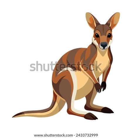 Wallaby Illustration on White Background