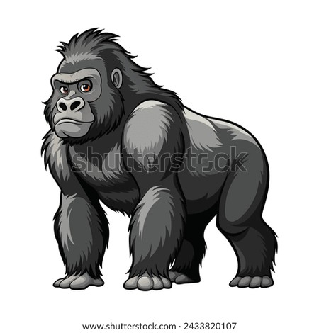 Gorilla illustration on White Background