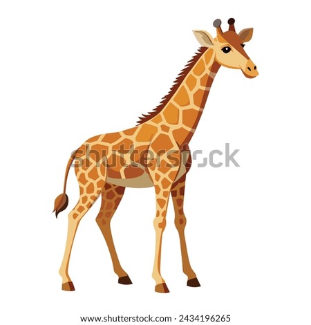 Giraffe illustration on White Background