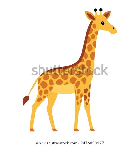 a giraffe isolated on white