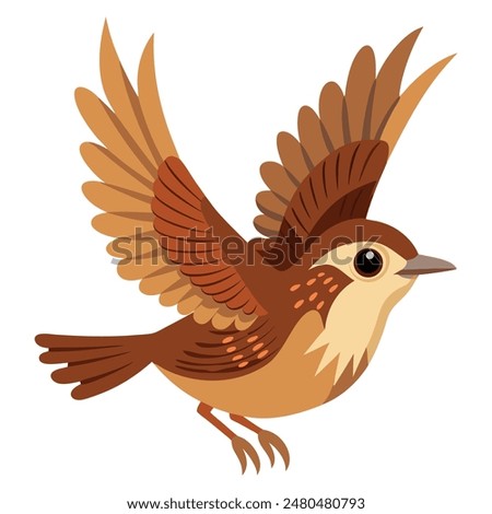 pacific wren flying on white