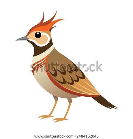 Illustration crested Lark bird isolated on white