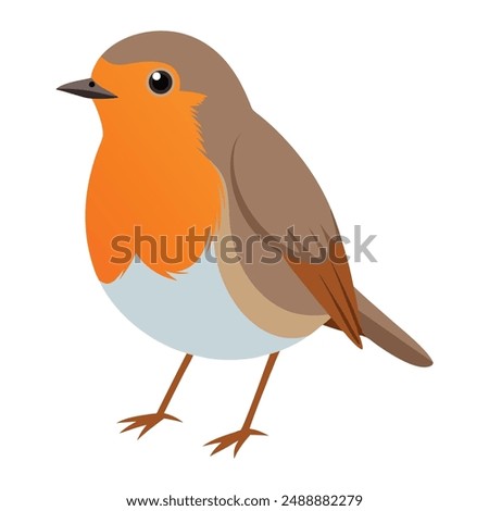 Illustration of cute robin bird isolated