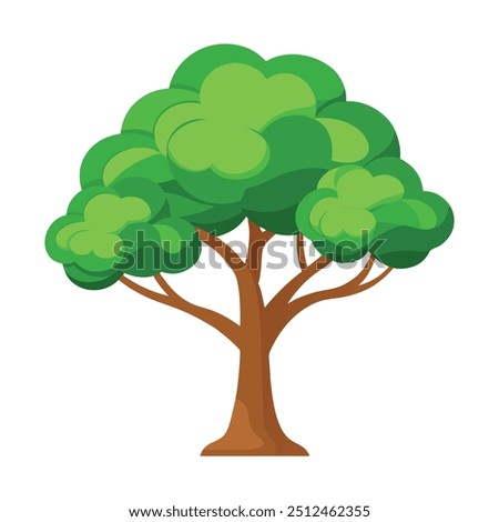 Illustration of Eucalyptus tree isolated on white